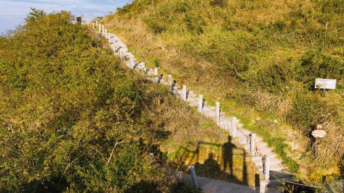 1299大树头 (98) 사진