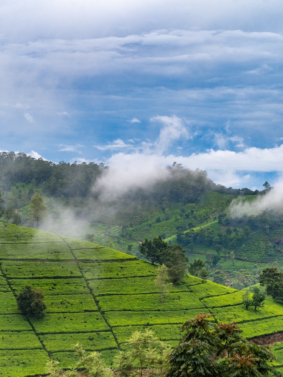 稻草人旅行- 专注于青年，带来非凡的小团队旅行体验
